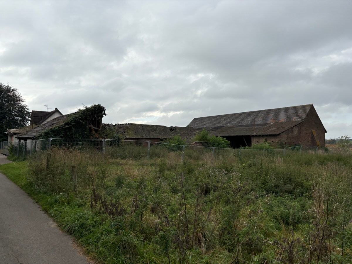 Dorsfeld sehen und&nbsp;vergehen